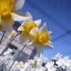 Thumbnail of related posts 097