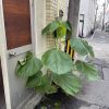 Thumbnail of related posts 062